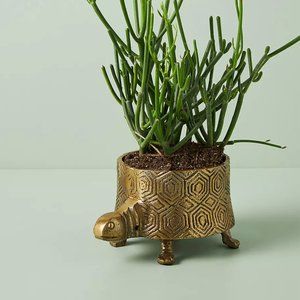 Anthropologie Turtle Pot